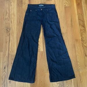 Hudson Jeans Wide Leg Flare